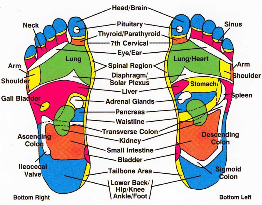 Reflexology Therapy By Global Pain And Spine Clinic, Kanpur - Dr. Rajneesh Tripathi
